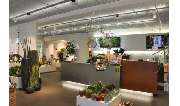 Blumen Speth GmbH - GALLERY