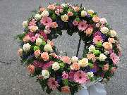 Blumen Steinhilber Weiden - GALLERY