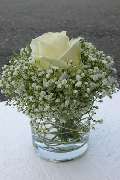 Blumen Steinhilber Weiden - GALLERY
