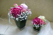 Blumen Steinhilber Weiden - GALLERY