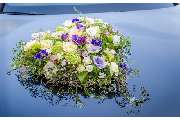 Blumen stiel.echt - Simone Wimmer - GALLERY