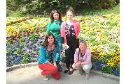 Blumen stiel.echt - Simone Wimmer - GALLERY