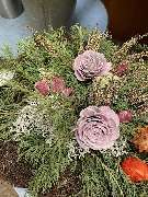 Blumen Stockmaier - GALLERY