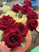 Blumen Stockmaier - GALLERY