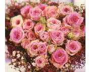 Blumen Stuiber - GALLERY