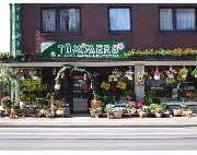 BLUMEN TÜMMERS - GALLERY