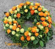 Blumen Tümmers - GALLERY