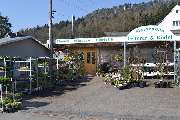 Blumen und Gartenbau Leiterer & Rö- del Inh. Uwe Rödel e.K. - GALLERY