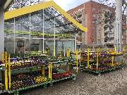 Blumen- und Pflanzenhaus Gärtner - Blumenladen Leipzig - GALLERY