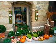 Blumen und Schönes Naturnah - GALLERY