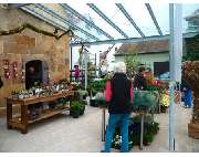 Blumen und Schönes Naturnah - GALLERY