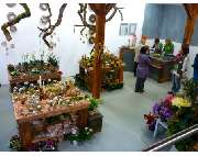 Blumen und Schönes Naturnah - GALLERY