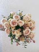 Blumen Velmans  Inh. Kirill Smirnov - GALLERY