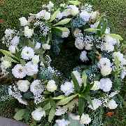 Blumen Velmans  Inh. Kirill Smirnov - GALLERY