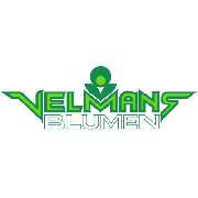 Blumen Velmans  Inh. Kirill Smirnov - LOGO