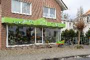 Blumen Vossel - GALLERY