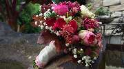 Blumenhaus Wasser - 2