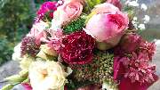 Blumenhaus Wasser - 3