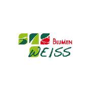 Blumen Weiss Malsch - LOGO