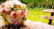Blumen Wiegand - Fleurop-Lieferservice