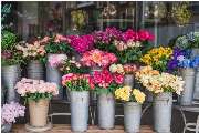 Blumen Wohlers Inh. Kathrin Schöning - GALLERY