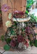 Blumen Wünsche - GALLERY