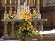 Blumen Wünsche - GALLERY
