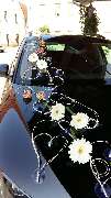 Blumen Wünsche - GALLERY