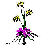 Blumen Wünsche - LOGO