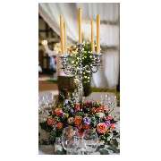 Blumen Zürn eGbR - GALLERY