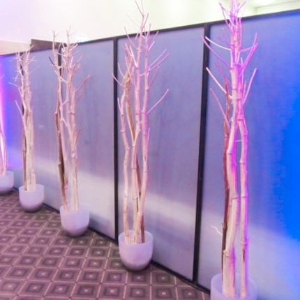 Blumenbinderei Bachmaier - GALLERY