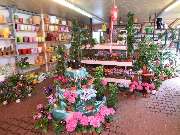 Blumencentrum und Gärtnerei Axel Gerdessen - GALLERY