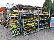 Blumencentrum und Gärtnerei Axel Gerdessen - GALLERY