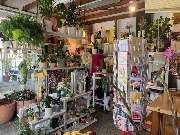 Blumeneck Weischlitz - GALLERY