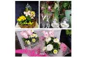 Blumenfee Hilden - GALLERY