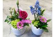 Blumenfee Hilden - GALLERY