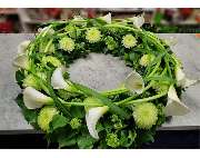 Blumenfee Hilden - GALLERY