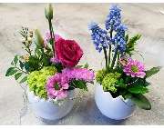 Blumenfee Hilden - GALLERY