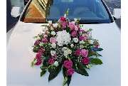 Blumenfee Hilden - GALLERY