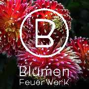 Blumenfeuerwerk, Seidenblumen Vertrieb und Service