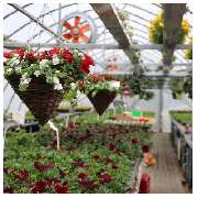 Blumenfreund Feindt Blumenhaus und Gärtnerei - GALLERY