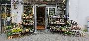 Blumengeschäft Blattmaus - GALLERY