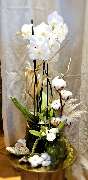 Blumengeschäft Blattmaus - GALLERY