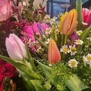 Blumenhandel KG Berthold Klumpen GmbH & Co. - GALLERY
