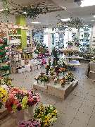 Blumenhaus am Anger Inh. Adelheid Luckner - GALLERY