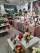 Blumenhaus am Anger Inh. Adelheid Luckner - GALLERY