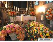 Blumenhaus am Espan - GALLERY