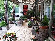 Blumenhaus & Gärtnerei BACHE - Blumenladen