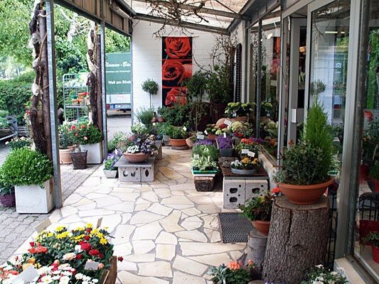 Blumenhaus & Gärtnerei BACHE - Blumenladen