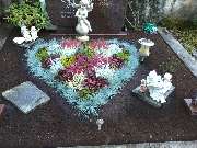 Blumenhaus & Gärtnerei BACHE - Friedhofsgärtnerei- Grabpflege